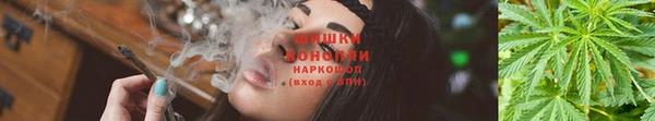 трава Вязьма