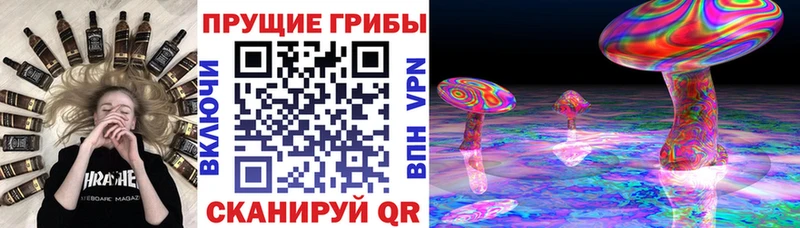 Псилоцибиновые грибы мухоморы  Ковров 